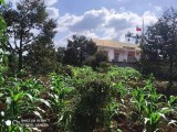 Bán đất Vũng Tàu, đầu tư, làm nhà vườn ĐỘC NHẤT