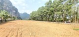 CHÍNH CHỦ GỬI BÁN SIÊU PHẨM BÁM SÔNG BÔI DÀI 20m, 1800m CÓ 1100m THỔ CƯ