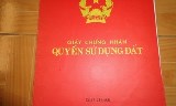 Bán đất gần UBND huyện Sơn Dương Tuyên Quang, ngay nhà khách và nhiều cơ quan chính quyền. Giá chỉ