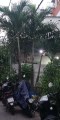Bán Nhà đường Hoàng Hoa Thám quận Bình Thạnh diện tích 50 m2