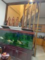 Nhà Bốn Xã, Hương Lộ 2, Hẻm Ô Tô Thẳng 1 Trục, 48m2x 2 Tầng, Chỉ 3.3 Tỷ