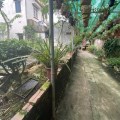 BÁN ĐẤT BẮC HỒNG 263M2 CÓ NHỈNH 4 TỶ-LÔ GÓC - MẶT TIỀN SIÊU RỘNG - Ô TÔ VÀO NHÀ - XÂY BIỆT THỰ NHÀ