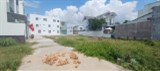 Bán đất Phú Nông, Vĩnh Ngọc - Nha Trang chỉ 1,5 tỷ