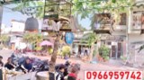 ⭐Chính chủ Sang gấp quán Cà phê - Trà sữa mặt tiền đường 10, Phước Bình, TP.Thủ Đức (Q.9 cũ)