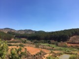 (Đất view đẹp) Cần tiền bán gấp đất rộng view đẹp tại Tà Nung, Đà Lạt 10730m2 giá chỉ có 11.5 tỷ
