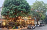 Siêu Biệt thự Văn Quán, Hà Đông, 186m2 x 4 tầng. Giá 23 tỷ