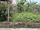 Đất Nguyên Khê giá chưa đến 2 tỷ ô tô con đỗ cửa 95m.MT 4.5m vuông vắn