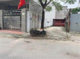 Bán đất mặt đường Vĩnh Cát - Thiên Lôi, giá tốt nhất thị trường chỉ 44 tr/m