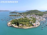 BÁN ĐẤT VIEW TRỰC DIỆN BIỂN 100% ĐẢO TRÍ NGUYÊN