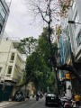 💥 Bán Tòa nhà VP mặt phố Lý Nam Đế, Hoàn Kiếm, 75m2 8T MT 6m, Chỉ 56.5 Tỷ 💥