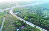 Đất Vườn Sổ Riêng giá chỉ 398 nghìn/m2 Châu Thành-Tây Ninh