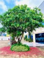 cho thuê kho chứa hàng hóa, khu cung ứng hàng hóa, à Rịa VT, vị trí thuận lợ giao nhận hàng