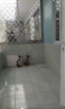 Chủ cần tiền bán gấp Nhà giá rẻ đường Huyền Trân Công Chúa, Đà Lạt giá chỉ 2.45 tỷ