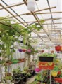 "Căn nhà Độc quyền - Nguyễn Chánh -  42m2, xây dựng tâm huyết, vị trí VIP, ngõ nông thoáng!"