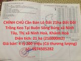 CHÍNH CHỦ Cần Bán Lô Đất 21ha Đất Đồi Trồng Keo Tại Buôn Sông Búng - Khánh Hòa