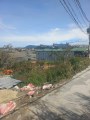 Cần bán gấp đất rộng đường Tô Vĩnh Diện, Đà Lạt 250m2 giá chỉ 2.4 tỷ