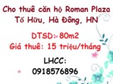 ✔️Cho thuê căn hộ Roman Plaza Tố Hữu, Hà Đông; 15tr/th; 0918576896