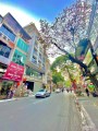 SIÊU PHẨM MẶT PHỐ THỤY KHUÊ 115M2, 8T, THANG MÁY KINH DOANH ĐỈNH, 2 MẶT PHỐ, 36,8 TỶ.