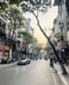 CHÍNH CHỦ BÁN TÒA VĂN PHÒNG MẶT PHỐ THỤY KHUÊ - TRÍCH SÀI 220m2, 9T, MT 12M. KD ĐỈNH.
