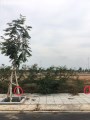 Bán đất nền dự án Biên Hòa Newcity, sát sân golf Long Thành, giá trị sinh lời cao, giá 2,3 tỷ