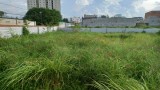 Bán đất THẠNH LỘC Phường Thạnh Lộc QUẬN 12, 1045 m2, Đường 4m, giá giảm còn 26 tỷ