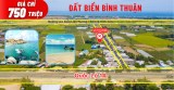 Đất biển Bình Thuận, kết nối cao tốc giá rẻ chỉ 750tr/ lô full thổ cư đường 29m