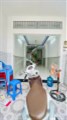 NHÀ HẺM ÔTÔ - P12 - GÒ VẤP - MỚI Ở NGAY - 40M2  - 1 TRỆT 1 LẦU - GIÁ 3.8 TỶ.