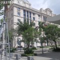 Bán nhà Cityland Phan Văn trị,Gò Vấp, đang có HD Thuê 45 triệu tháng