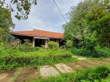 Bán Biệt thự nhà vườn gỗ xưa 1223m2 hòa hợp thiên nhiên Vườn Lài, Quận 12