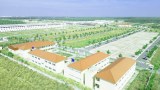 Bán nhanh nền đất 100m2 ngay sau TTHC Bàu Bàng giá 1 tỷ 550 triệu