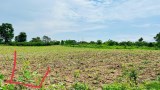 Cần Bán Nhanh 2 lô Đất Đẹp - Giá Tốt tại huyện Krông Pắk tỉnh Đắk Lắk