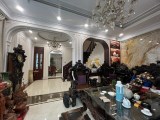Bán nhà Lạc Long Quân –BIỆT THỰ , SÂN VƯỜN 215m 4tầng, MT 16m, Ô TÔ vào nhà giá 21 tỷ