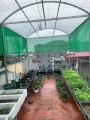 MẶT ĐƯỜNG YÊN BÌNH - Ô TÔ TRÁNH -Ô TÔ VÀO NHÀ-GIÁ RẺ NHƯ TRONG NGÕ  KINH DOANH- ĐẦU TƯ, GIÁ TRỊ GIA