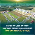 Chỉ Thanh Toán 15% Sở Hữu Đất Nền Có Sổ ở Nam An Bàu Bàng Bình Dương