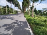 Cần bán gấp 1,200 m2 đất ngoại ô thành phố Sa Đéc, mặt tiền đường DT848 Đồng Tháp, thuộc Tân Khánh
