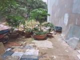 Bán đất 100% Thổ Cư 4.1Mx20.2M đường Nguyễn Hữu Tiến quận Tân Phú Nhỉnh 6TỶ.