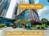 Bán gấp lô góc sàn văn phòng 1081,1m2 - Sở hữu lâu dài siêu hiếm quận Thanh Xuân - Sẵn khách thuê