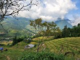 Bán mảnh đất view ruộng bậc thang cực đẹp ở Tả Van