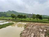 ĐẤT ĐẸP – GIÁ ƯU ĐÃI - Cần Bán Gấp Lô Đất Đẹp tại Lương Sơn, Hòa Bình