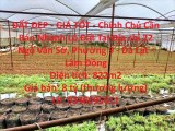 ĐẤT ĐẸP - GIÁ TỐT - Chính Chủ Cần Bán Nhanh Lô Đất Tại TP Đà Lạt, Lâm Đồng