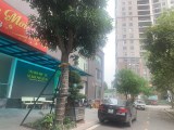 Bán Căn hộ Đường Thành Thái, Cầu Giấy. 150m2; T4; 3PN; giá 4 tỷ 75. Phương