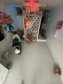 Bán nhà Hẻm 55 Đường 42 Phường Hiệp Bình Chánh 21m2 CCVB 900tr. Lh:0932157059.