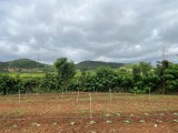 ♨ ♨ Đất nghỉ dưỡng giá rẻ 3850m giá chỉ 2 tỷ có view tháp Kinh Luân lớn nhất Thế giới ♨ ♨