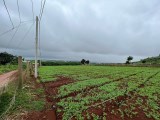 💥 💥 💥 Cơ hội đầu tư tại Đạ Ròn có view tháp Kinh Luân lớn nhất Thế giới 💥 💥 💥