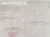 Chính chủ cần bán 156,4m2 đất xã Thọ Dân, H. Triệu Sơn, Thanh Hoá, giá đầu tư