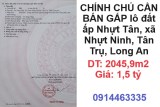 ⭐CHÍNH CHỦ CẦN BÁN GẤP lô đất ấp Nhựt Tân, xã Nhựt Ninh, Tân Trụ, Long An; 1,5tỷ; 0914463335