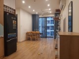 Cần cho thuê căn hộ chung cư 54m2 (2PN, 1VS) Vinhomes Smart City, Tây Mỗ