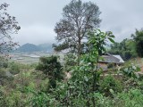 Bán mảnh đất có view thung lũng cực đẹp tại Sapa