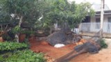 Cần bán lại miếng đất cực đẹp tại hẻm 145 Nguyễn Lương Bằng, xã Hòa Thắng, TP. Buôn Ma Thuột