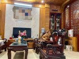 Bán nhà  phố Giáp Bát, phân lô, gara ô tô, 2 mặt ngõ, ô chờ TM, 85, 4PN, 9.99 tỷ